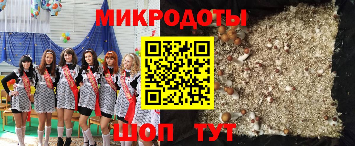 Галлюциногенные грибы мицелий Зерноград